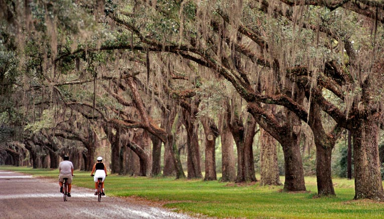 Msgi-charleston-savannah-multisport-1